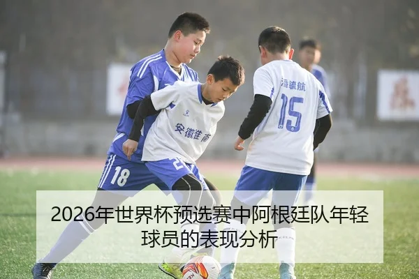 2026年世界杯预选赛中阿根廷队年轻球员的表现分析