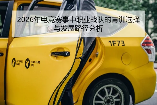2026年电竞赛事中职业战队的青训选择与发展路径分析