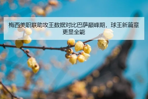 梅西美职联助攻王数据对比巴萨巅峰期，球王新篇章更显全能